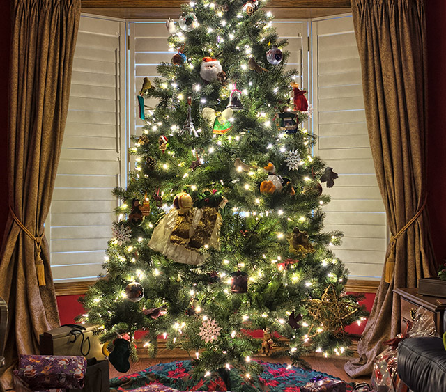 box celebrate celebration christmas 264988